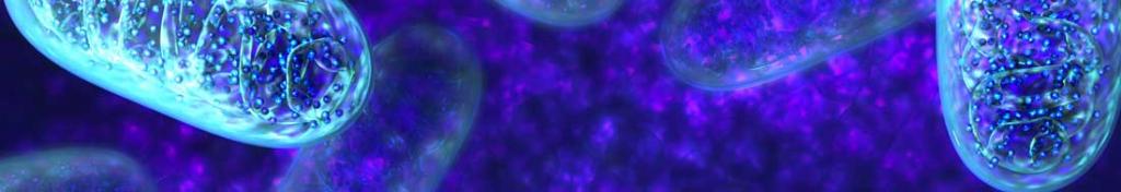 Module 8A Banner